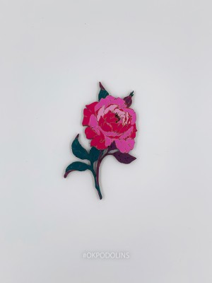 Роза садовая